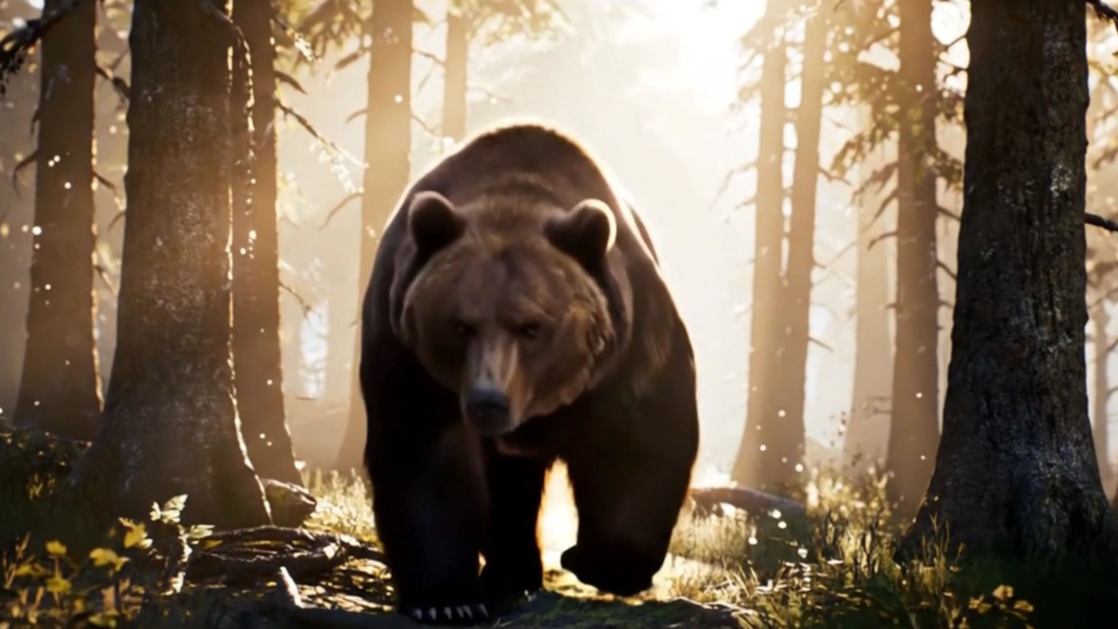 INTRO VIDEO MAMA BEAR